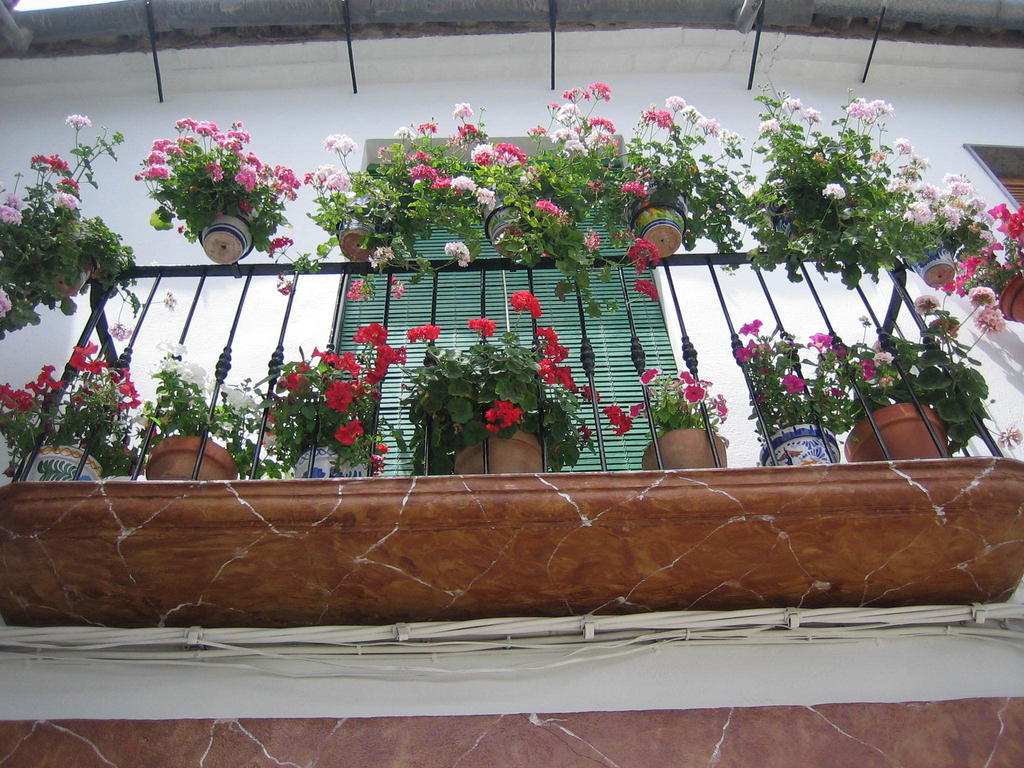 Castro del Río Casa Rural La Villa חדר תמונה